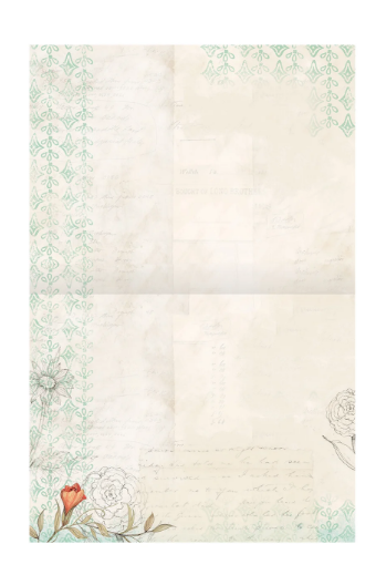 Field Guide All-Occasion Note Cards | St. Jerome School and Library