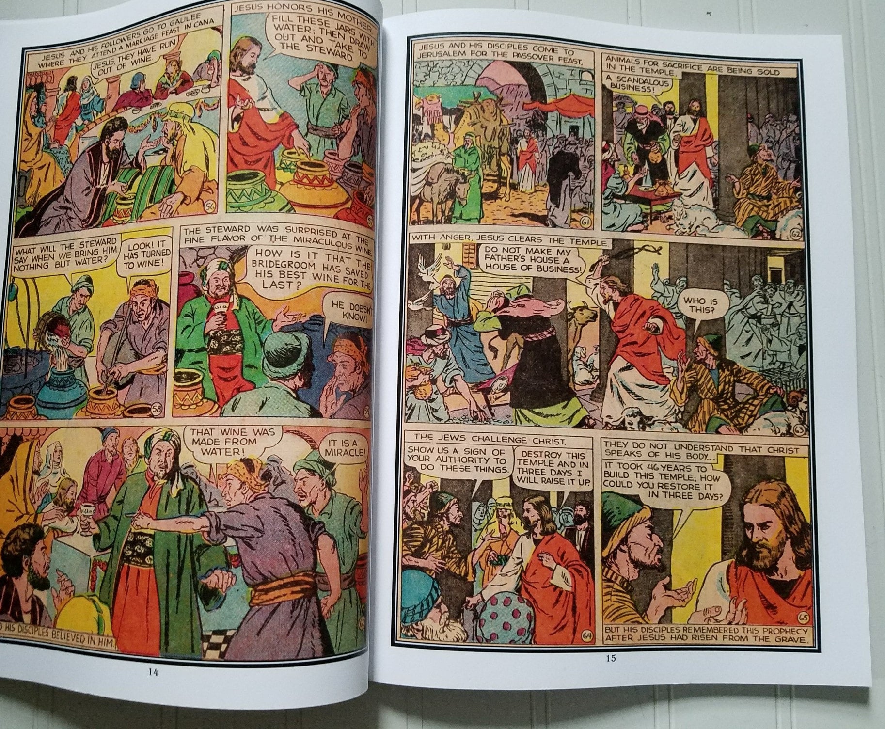 The Life of Christ: A Catholic Graphic Novel | St. Jerome School
