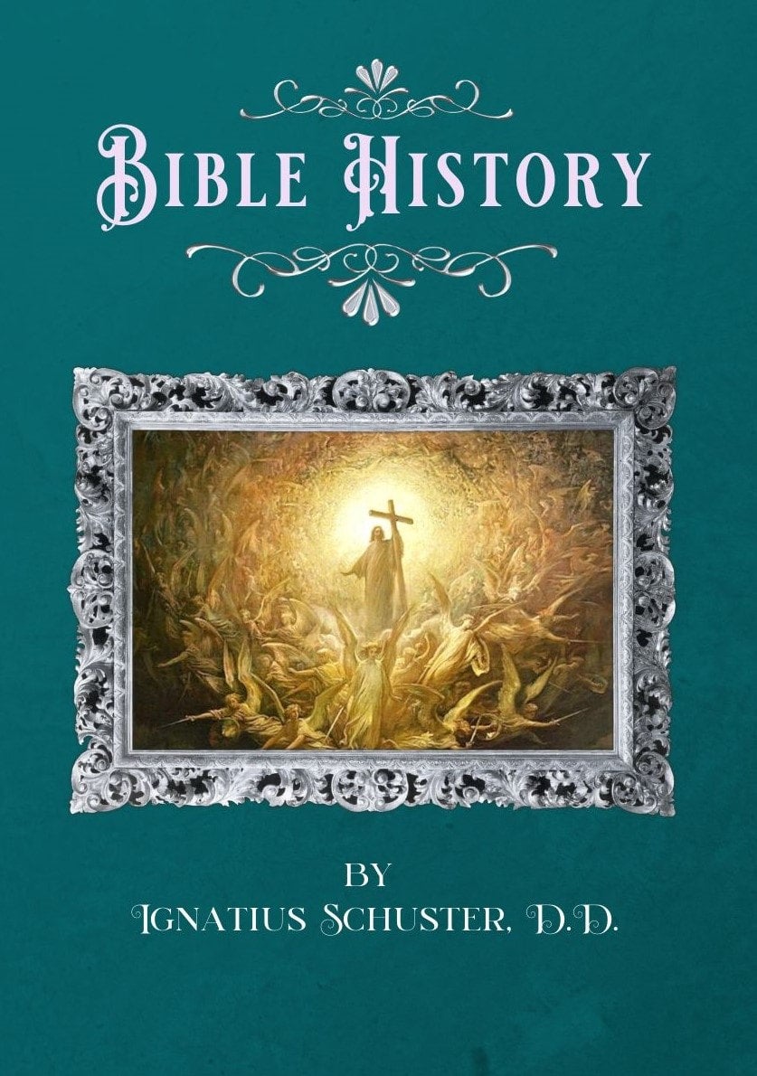 Bible History St. Jerome School and Library